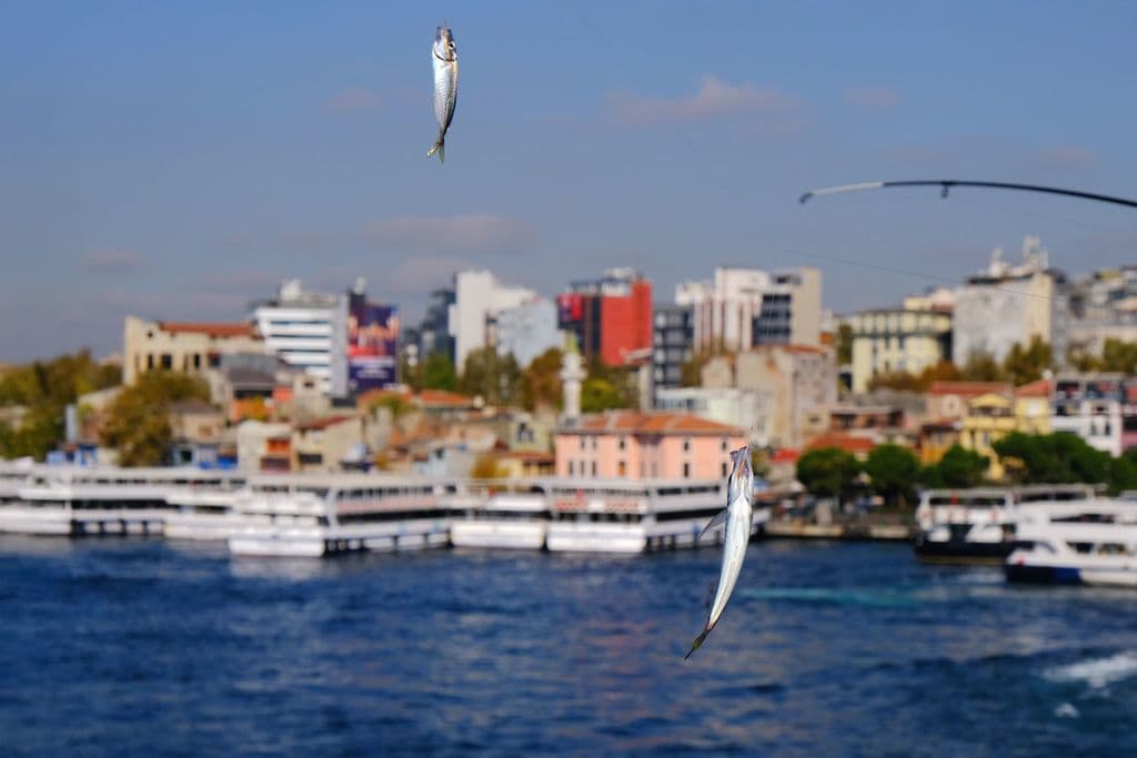 Fishing scene at Galata Bridge in Istanbul, by Bülent Özgöç