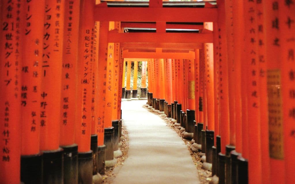 Orange torii gates at Fushimi Inari Taisha in Kyoto, by Alan Wang