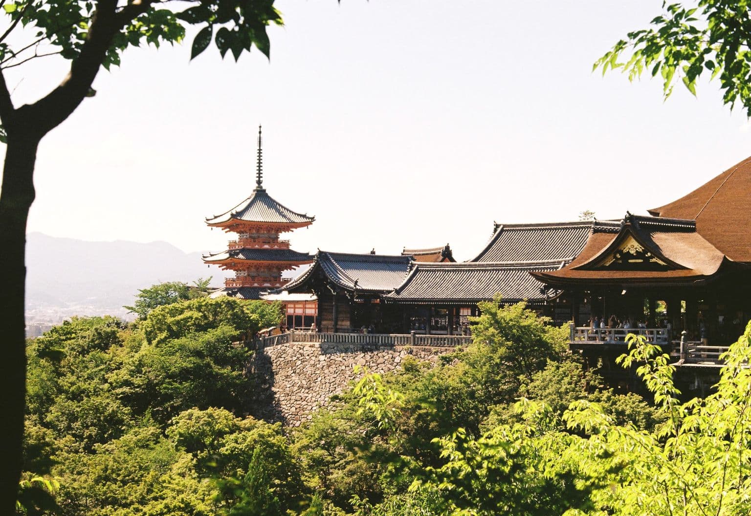 Kiyomizu-dera Temple above green hills in Kyoto, by Ivo Stirling