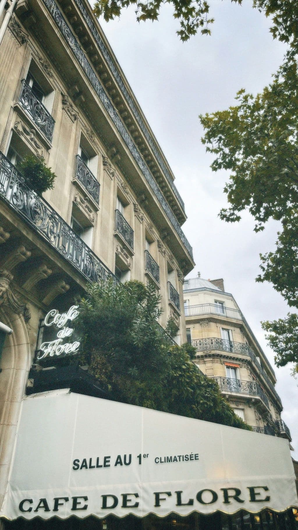 Café de Flore exterior in Paris, by Emily Moynihan