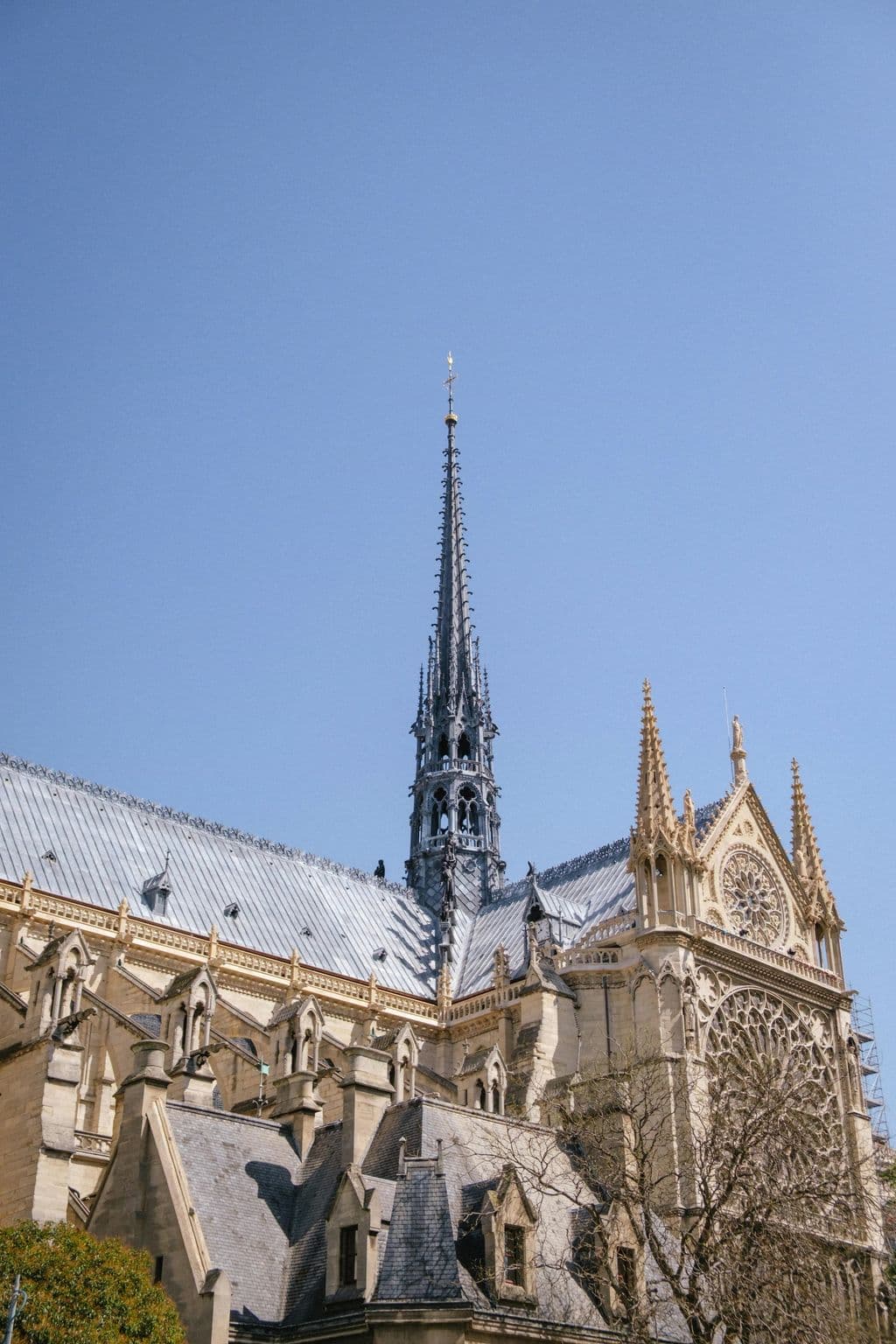 Notre-Dame Cathedral spire in Paris, by Johan Mouchet