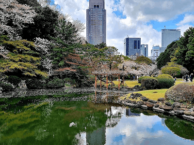 Shinjuku Gyoen National Garden